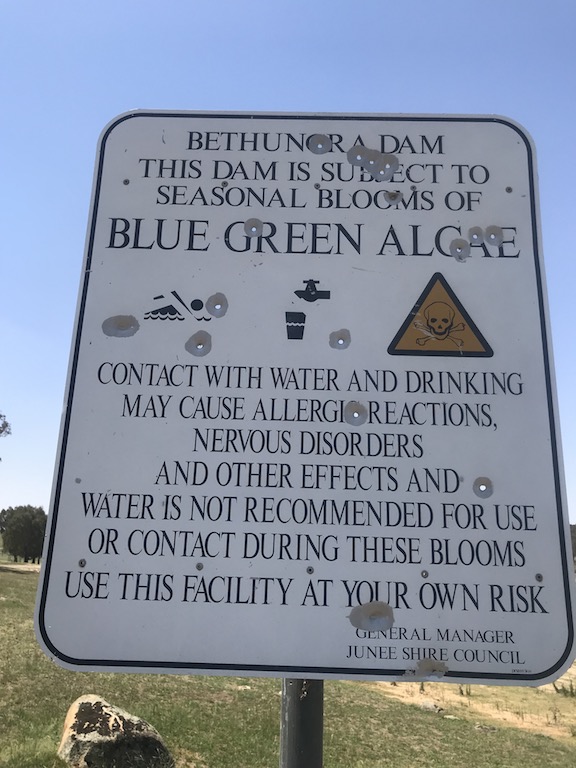 Blue Green Algae Sign